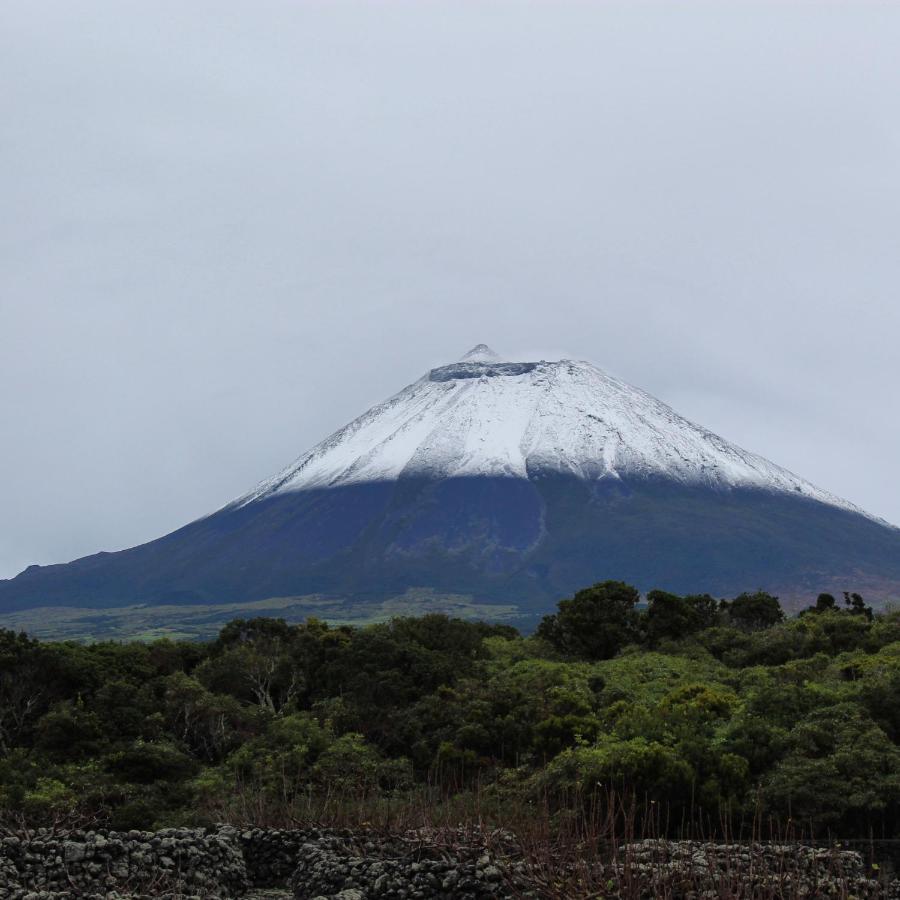 Casinha De Pedra Βίλα Cais do Pico Δωμάτιο φωτογραφία